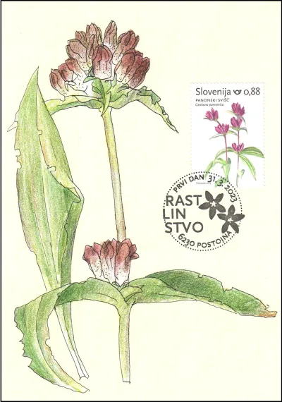 RASTLINSTVO PRVI DAN